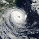 Catarina. Wikimedia Commons